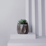11cm Self-watering POTR Pot