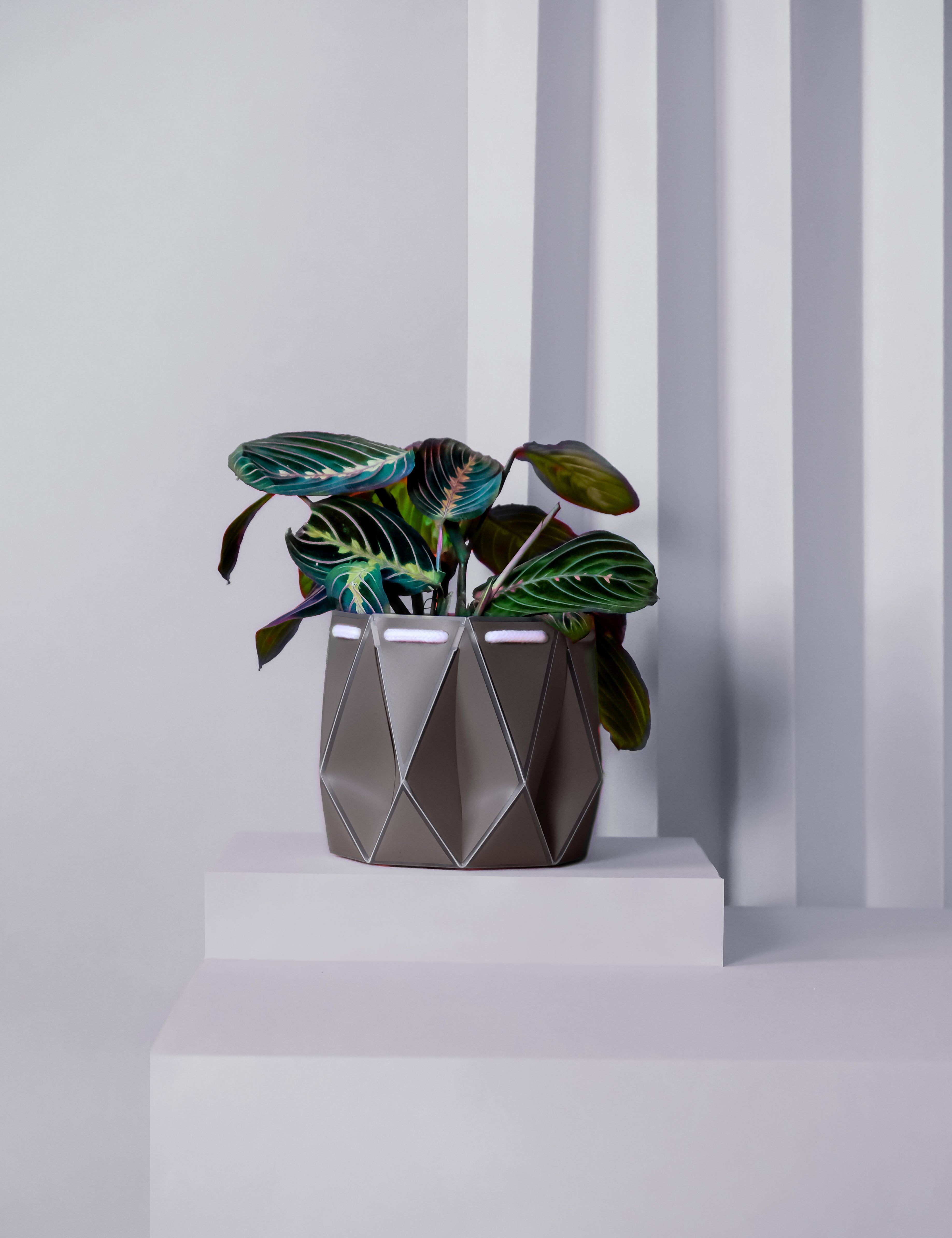 15cm Self-watering POTR Pot