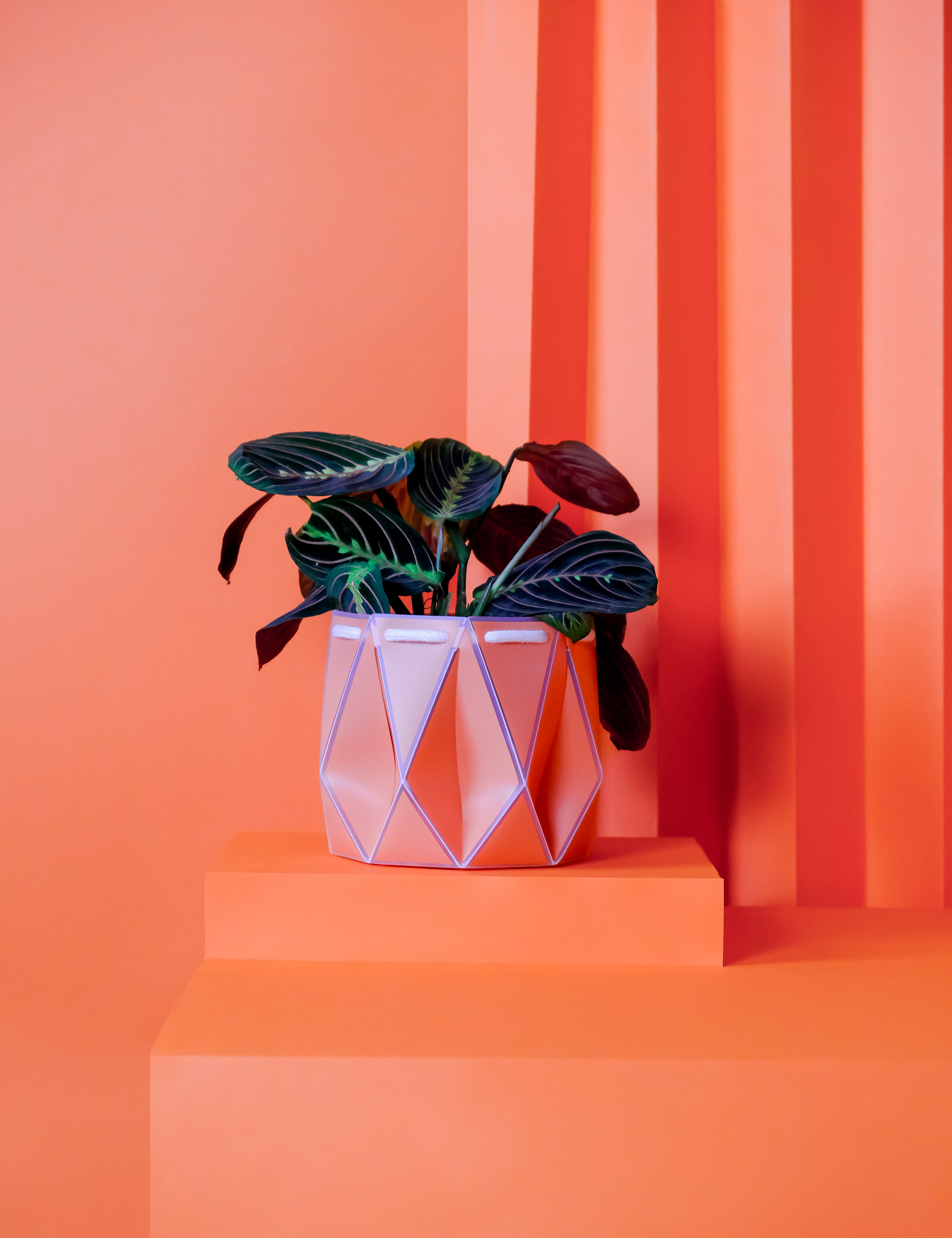 15cm Self-watering POTR Pot