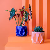 11cm POTR | 15cm POTR - Self-watering Planters