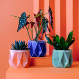 POTR Family | Self-watering Origami Planters