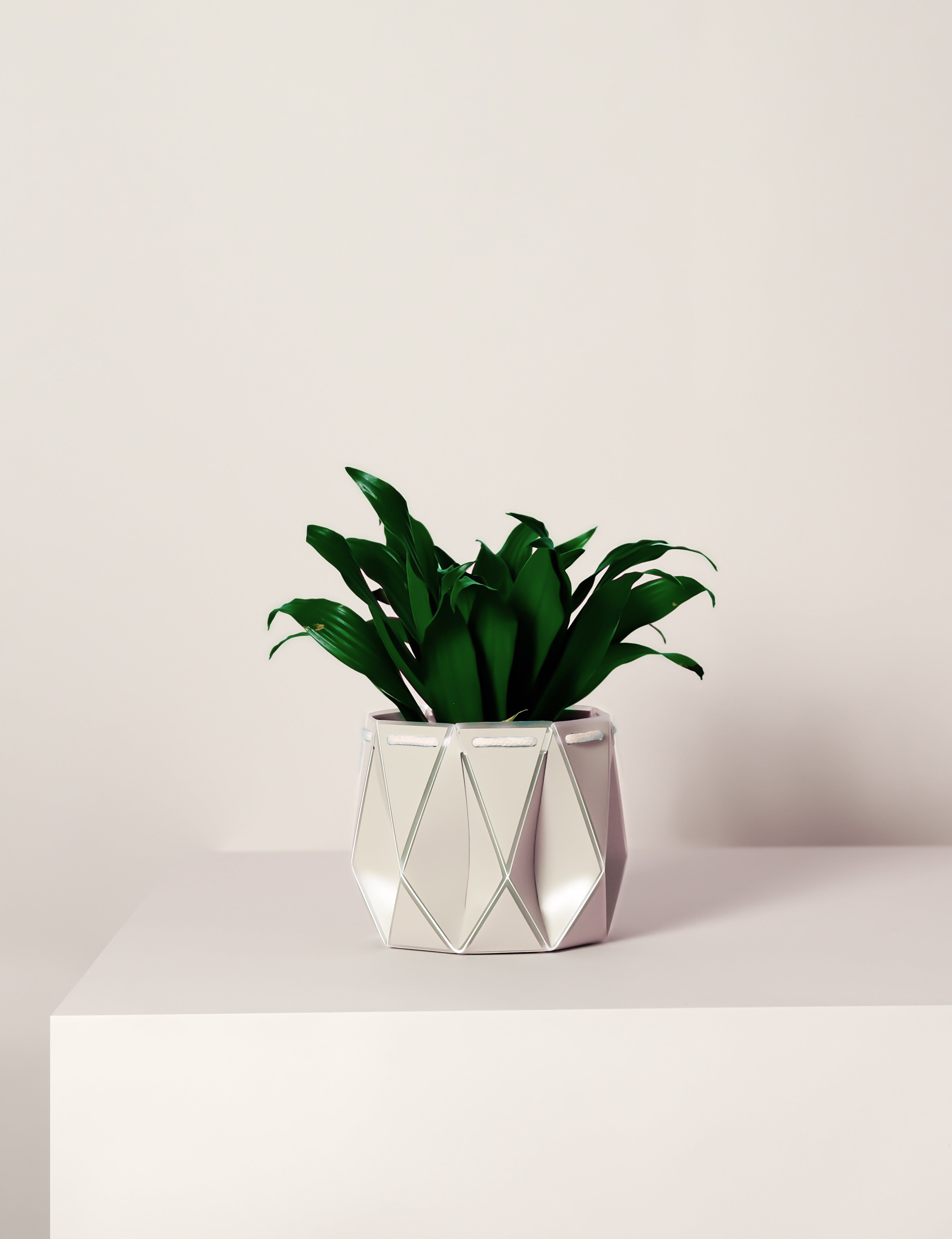 11cm Self-watering POTR Pot