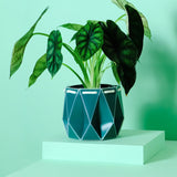 15cm Self-watering POTR Pot | Dark Teal