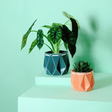 11cm POTR | 15cm POTR - Self-watering Planters