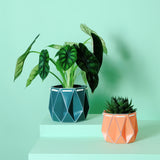 POTR Family | Self-watering Origami Planters