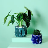 11cm POTR | 15cm POTR - Self-watering Planters