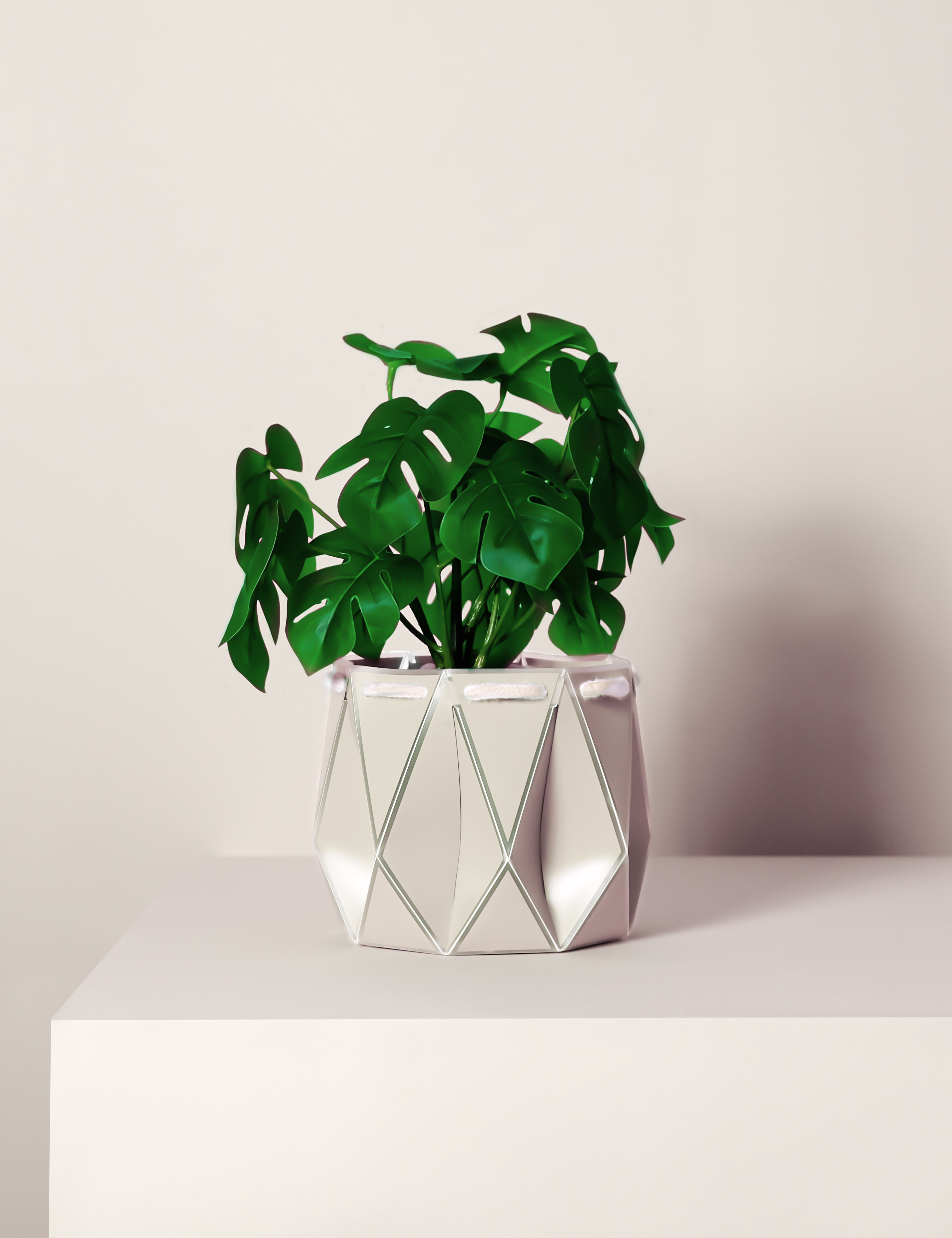 15cm Self-watering POTR Pot