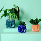 POTR Family | Self-watering Origami Planters