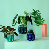 11cm Self-watering POTR Pot | Aqua