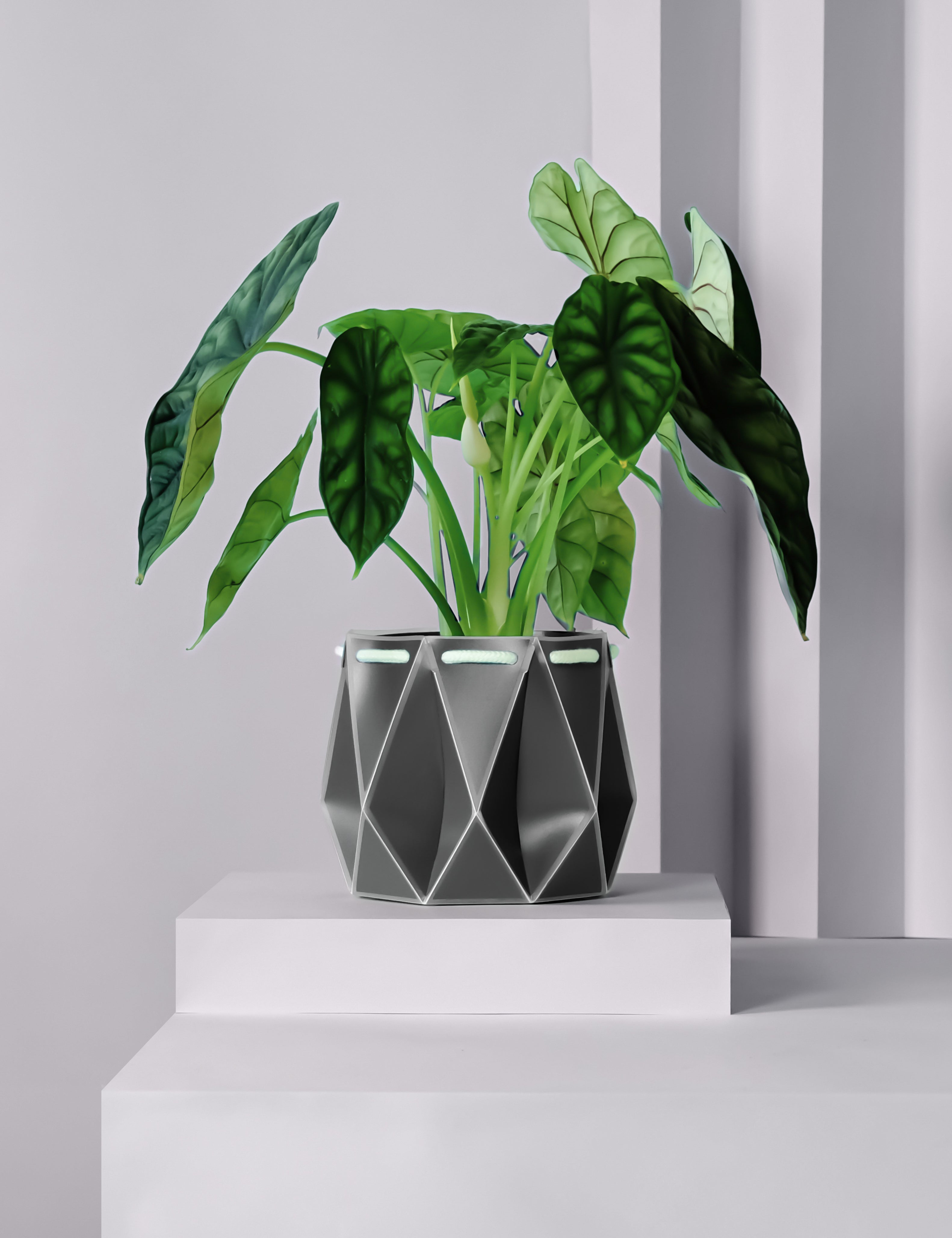 18cm POTR DUO | Self-watering Planters