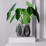 18cm POTR DUO | Self-watering Planters