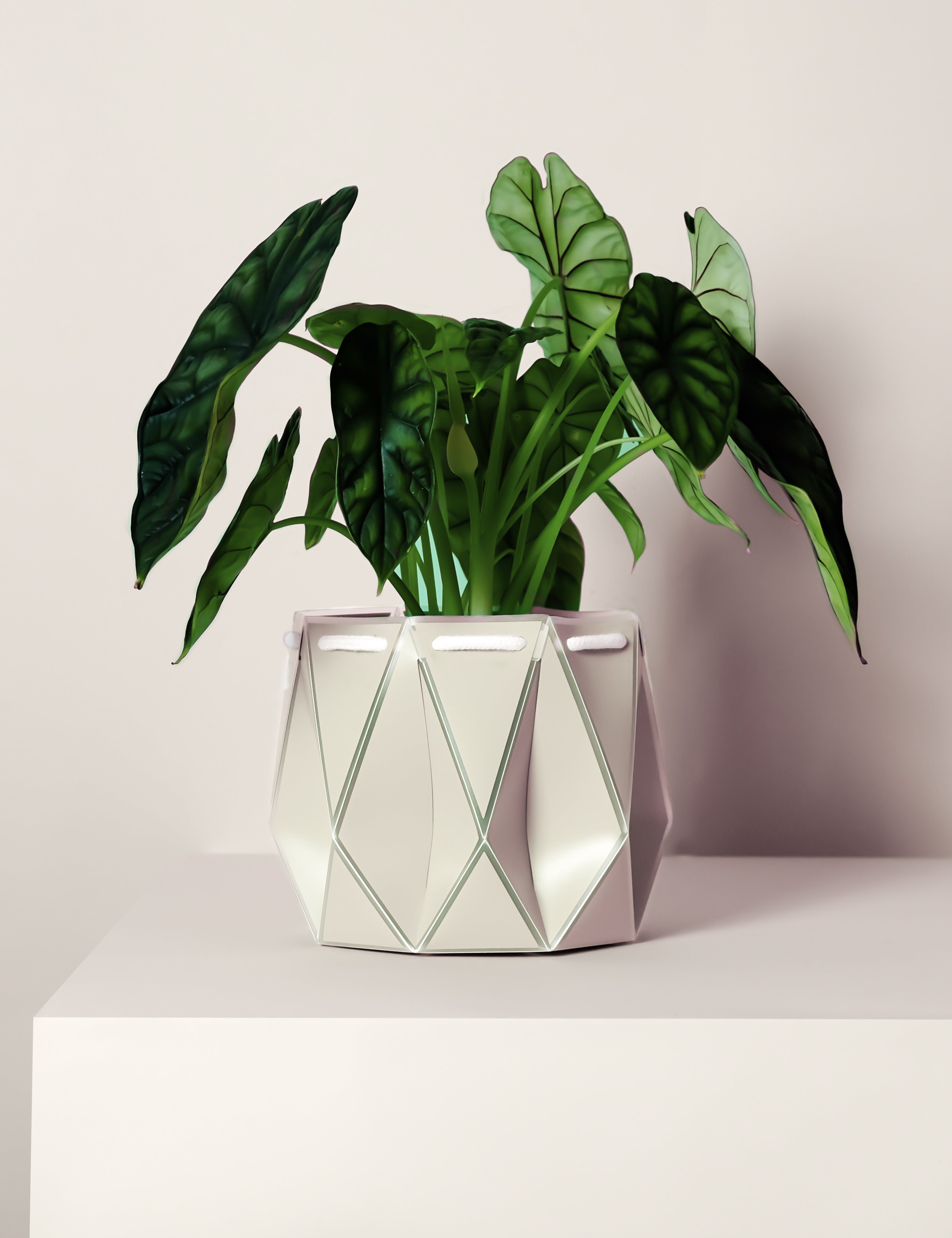 18cm Self-watering POTR Pot