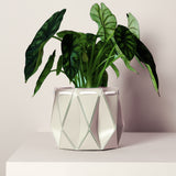18cm POTR DUO | Self-watering Planters