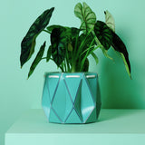 18cm POTR DUO | Self-watering Planters