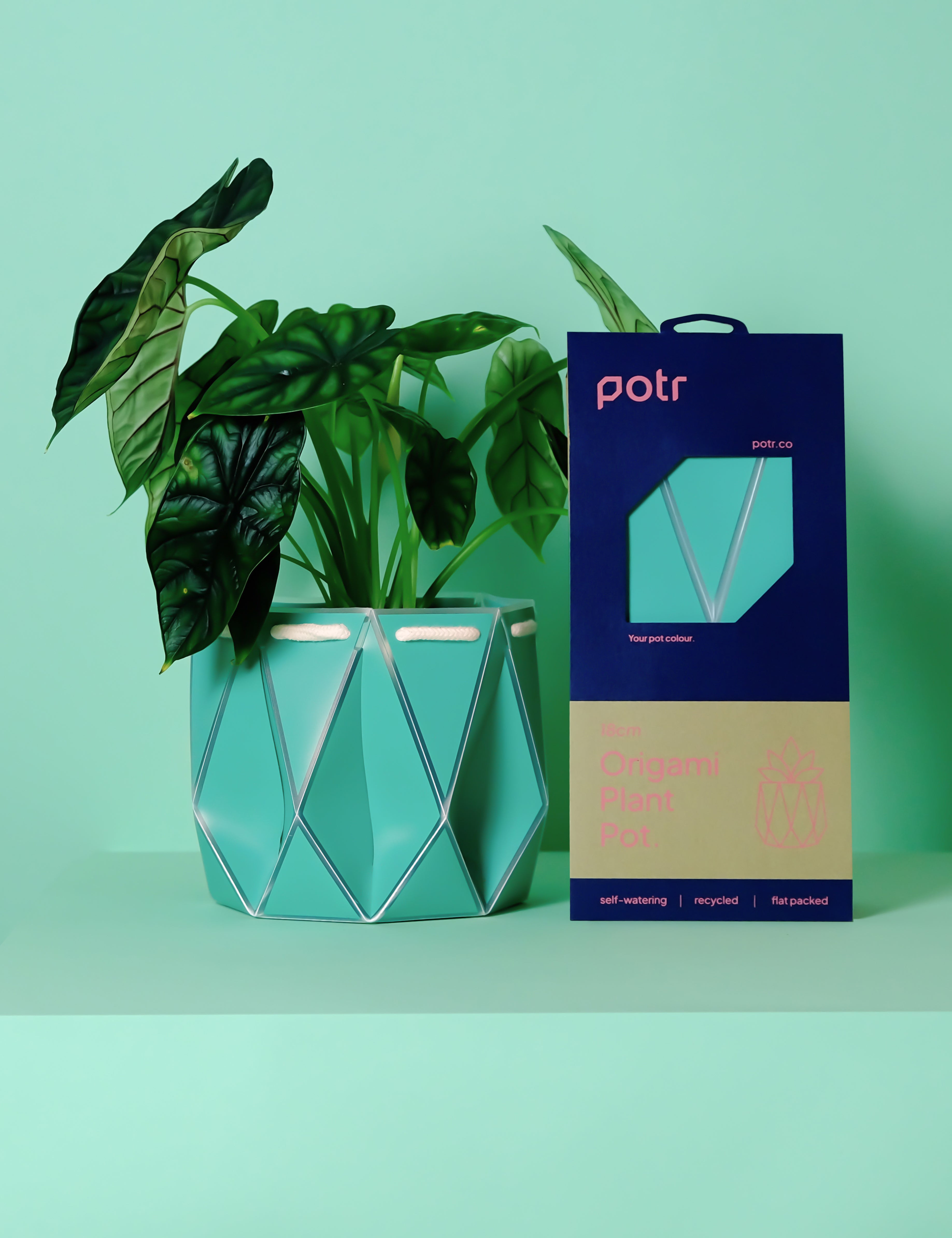 18cm Self-watering POTR Pot