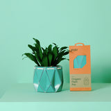 11cm Self-watering POTR Pot | Aqua