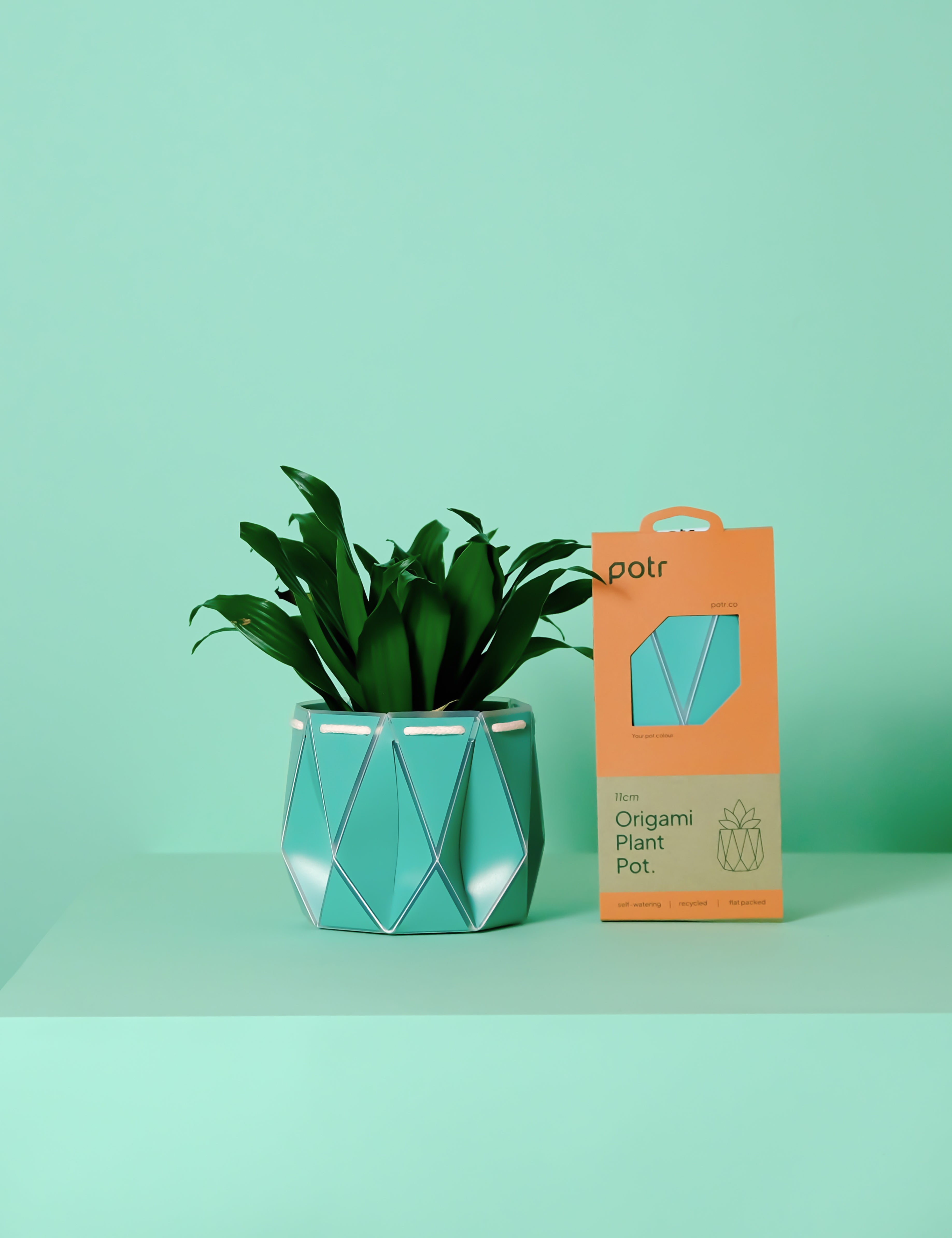 11cm Self-watering POTR Pot