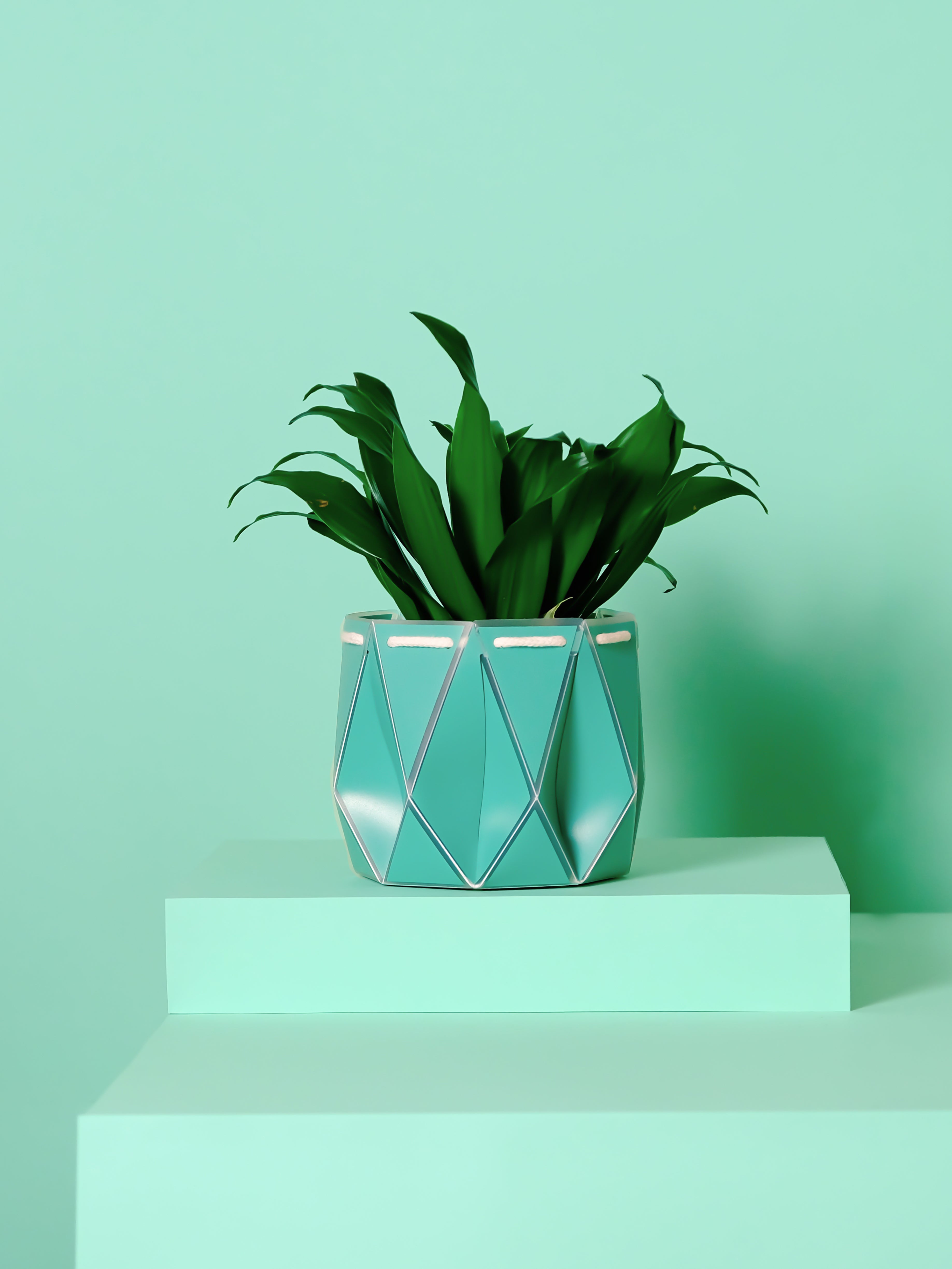 15cm Self-watering POTR Pot