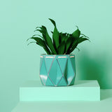 15cm Self-watering POTR Pot | Aqua