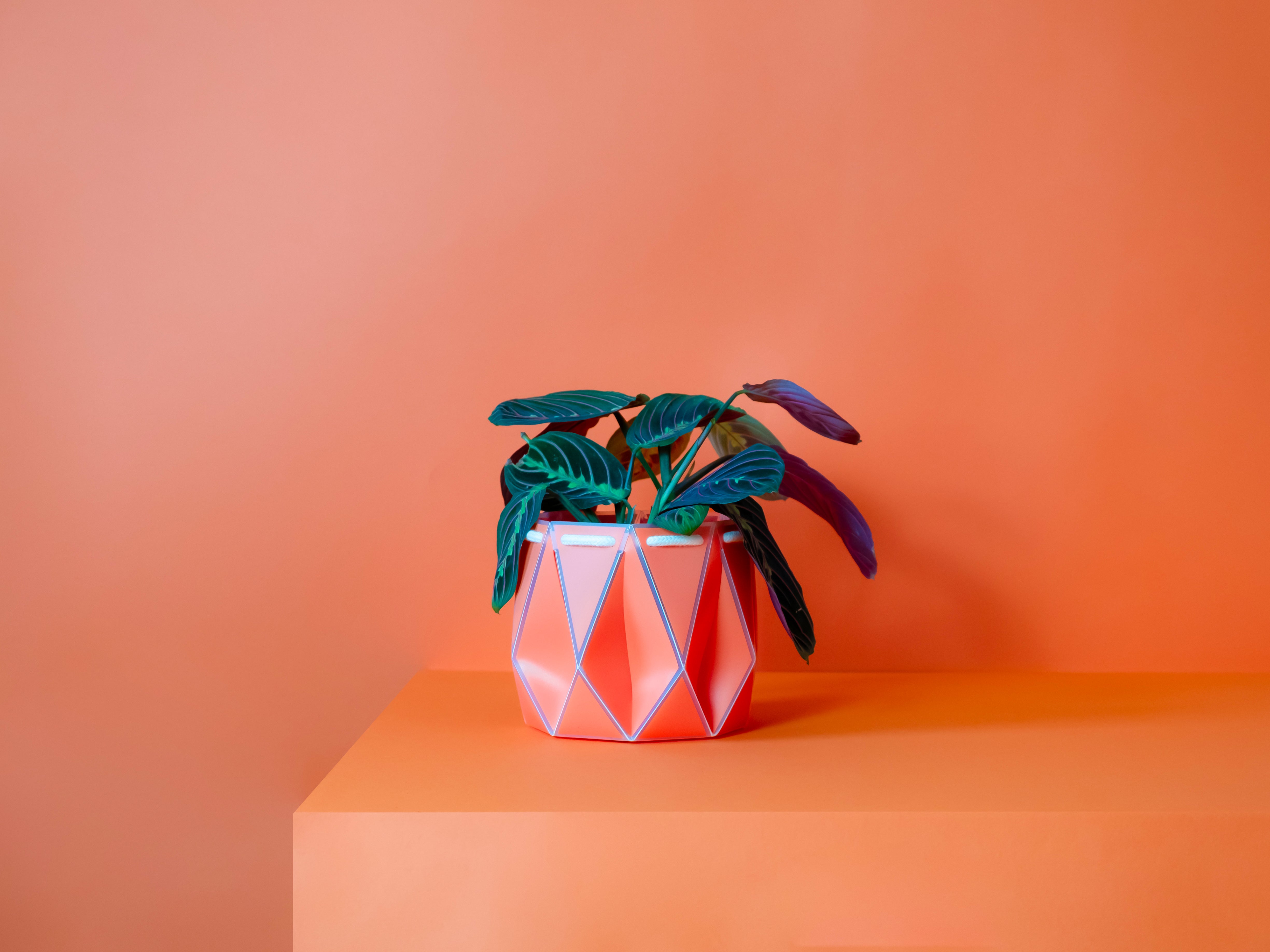 18cm POTR Pots