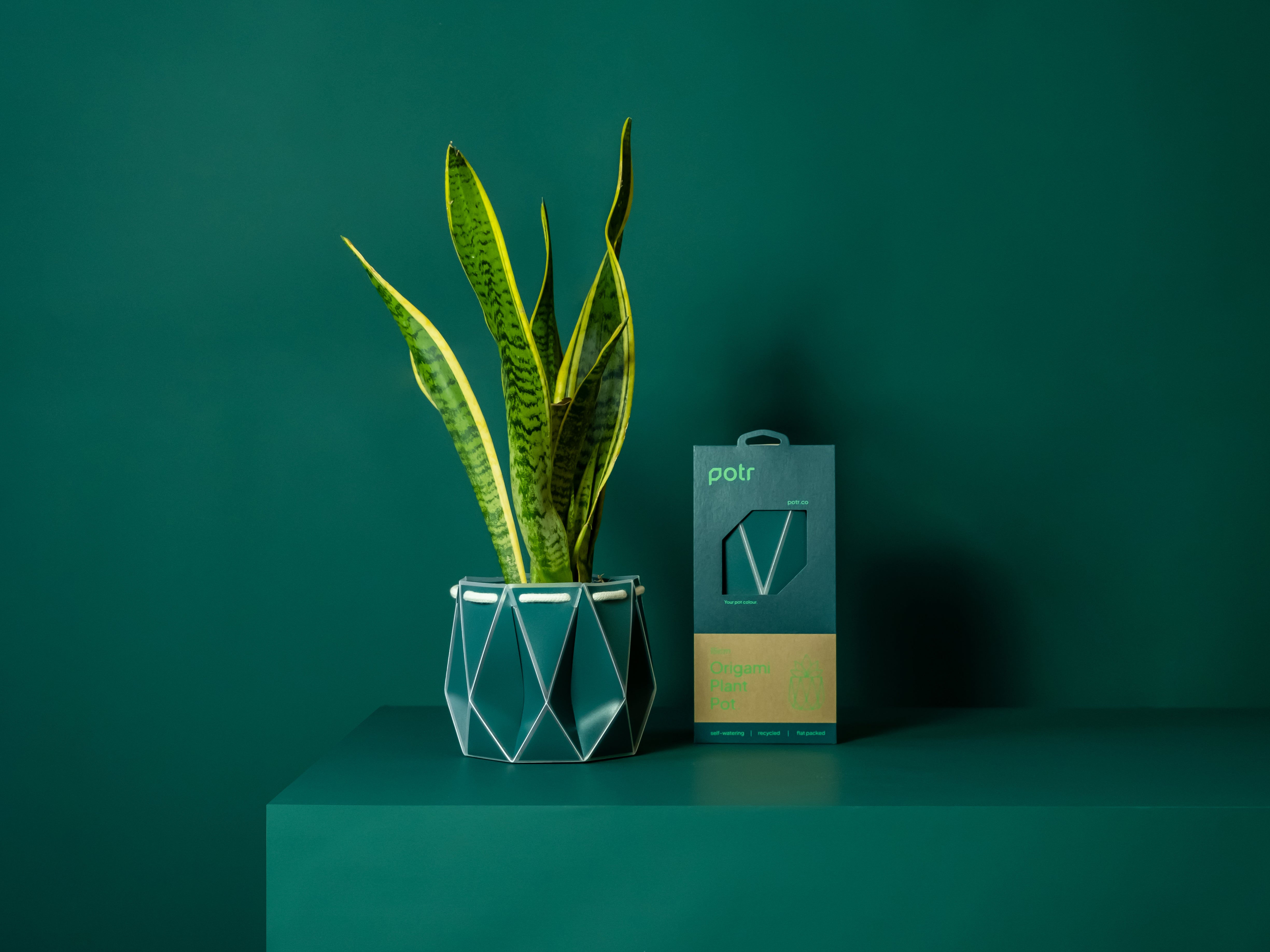15cm POTR Pot